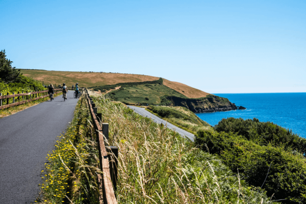 Waterford Greenway, galleria di Co Waterford